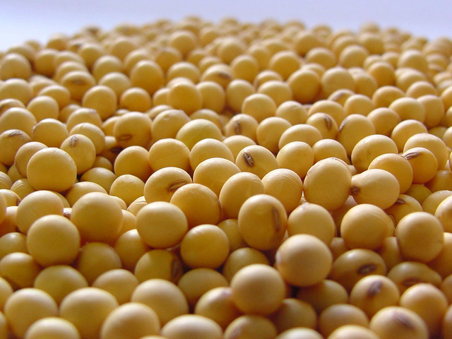 NEW 2017 Soybean # 2 GMO - Brazil - CIF Asia