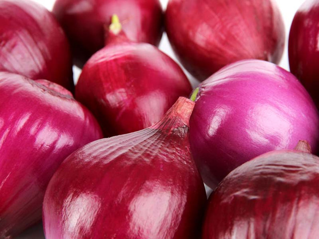 cebolla roja