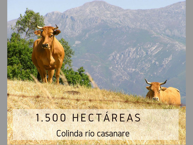Se vende finca en colinda