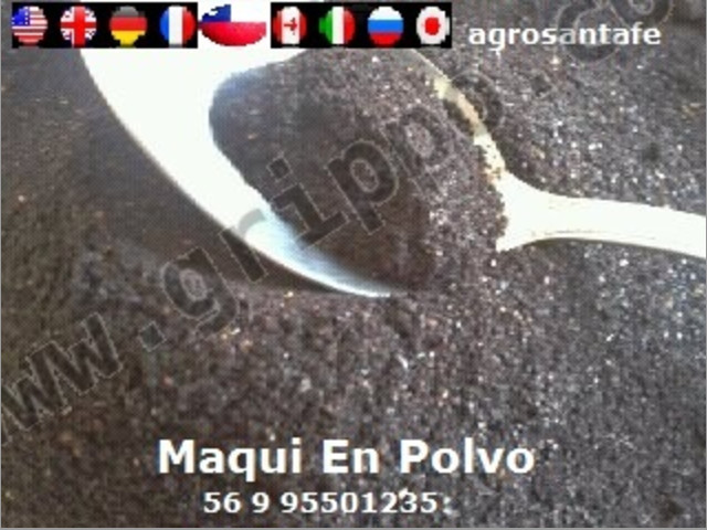 Maqui En Polvo