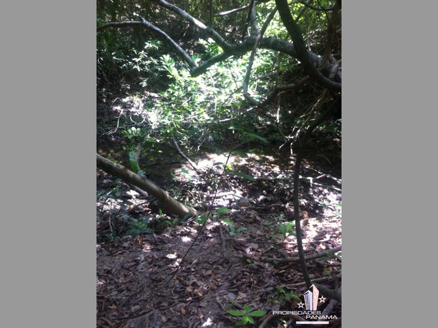 VENTA DE TERRENO EN COROTÚ (EXCELENTE FINCA)