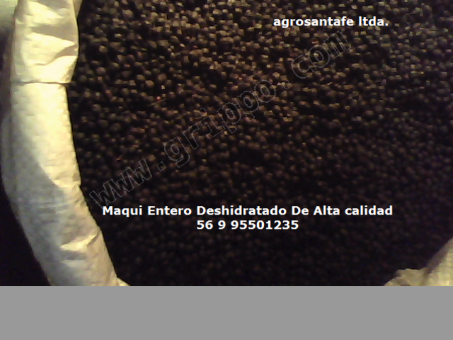 Maqui Entero