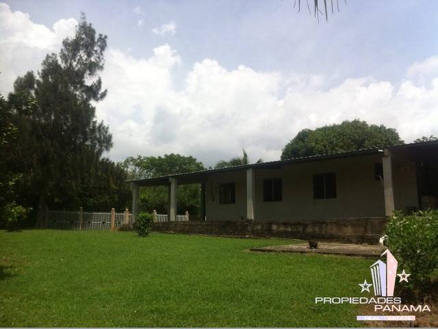 VENTA DE TERRENO EN COROTÚ (EXCELENTE FINCA)