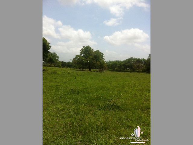 VENTA DE TERRENO EN COROTÚ (EXCELENTE FINCA)