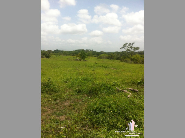VENTA DE TERRENO EN COROTÚ (EXCELENTE FINCA)