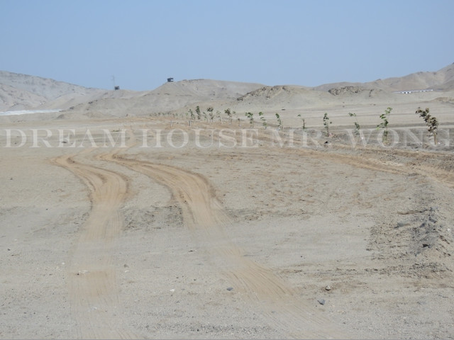 CHACRA DE CULTIVO EN AUCALLAMA