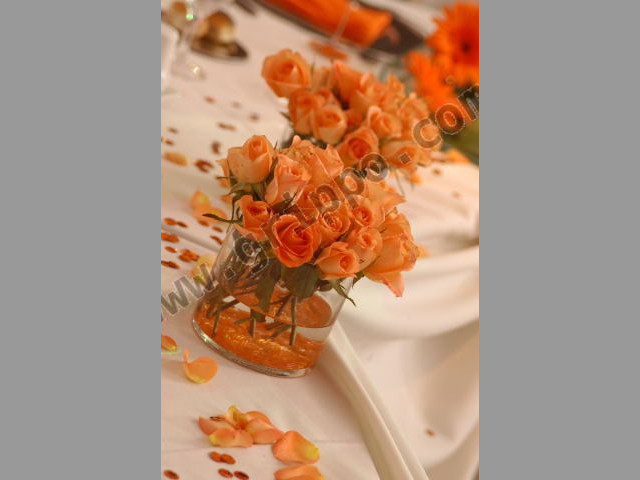 Organización de Eventos