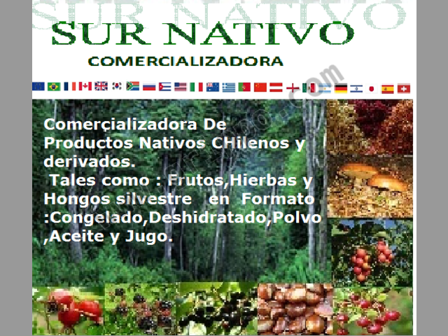 VENDO MAQUI ENTERO Y EN POLVO DESHIDRATADO.DE ALTA CALIDAD