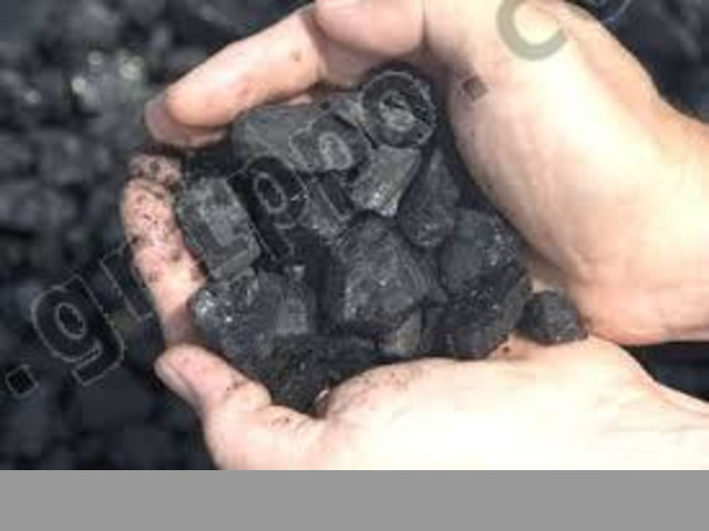 venta de carbon vegetal por mayor