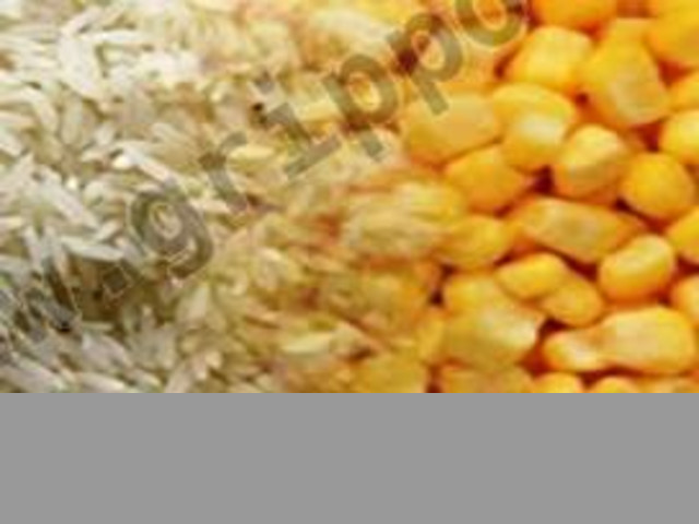 Venta de Arroz , Maiz . Semolina de Arroz y Maiz