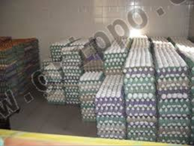 VENTA DE HUEVOS DE GRANJA AL POR MAYOR