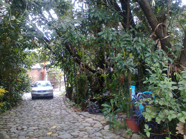 CASAS CAMPESTRES EN ARRIENDO (casa en los árboles)