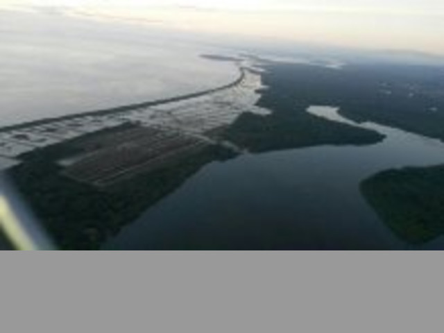 SE VENDE EMPRESA DE CAMARONES