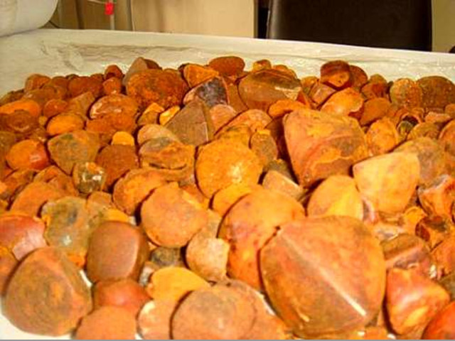 Compro cálculos bovinos