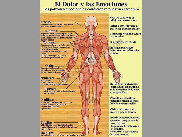 Apiterapia Naturaleza y Curación
