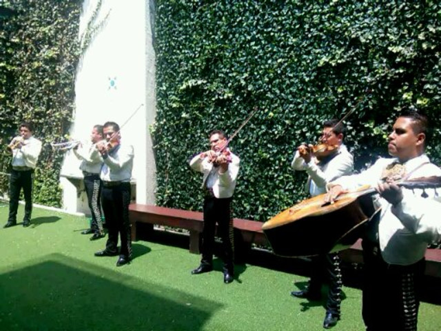 Mariachi en Estado de México