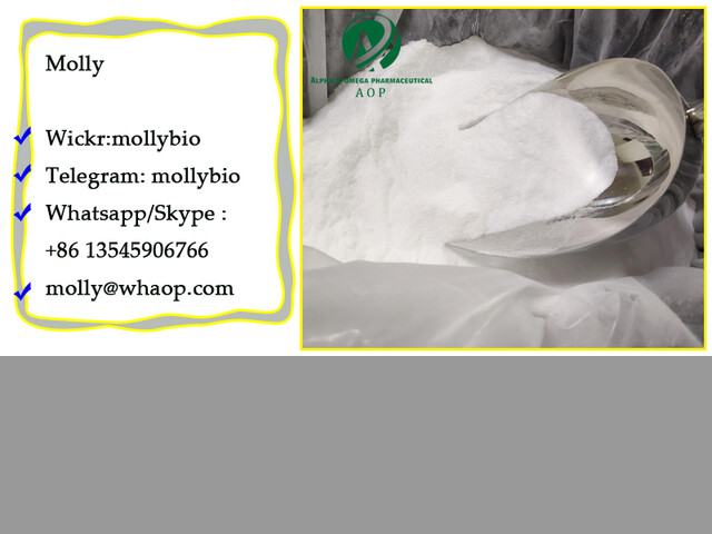 Factory Sell N-Methylbenzamide CAS 613-93-4 Supplier in Stocks