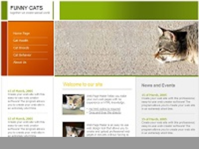 Creacion y Diseño de Paginas Web a Precios de Ganga