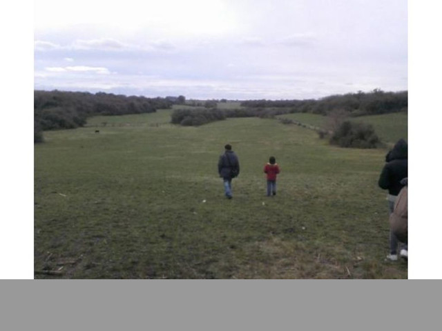 Vendo Campo Mixto