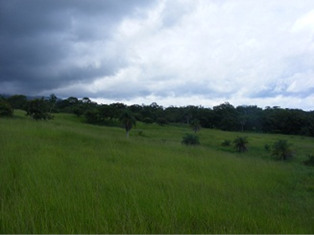 Se vende Finca de 145 Hectáreas en Liberia