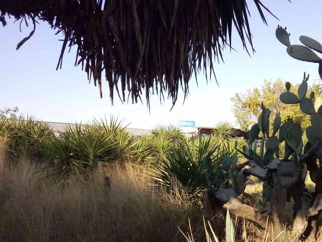 TERRENO EN RENTA VENTA PASEO CONSTITUYENTES, CORREGIDORA CC-054