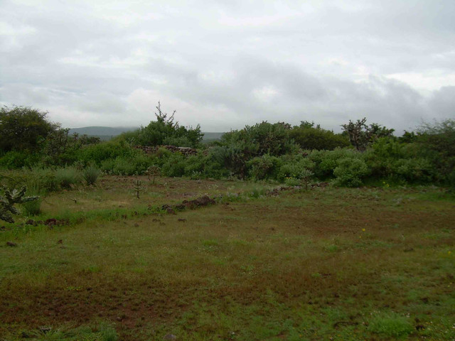 VENTA TERRENO URECHO, COLON, QUERETARO CI-049
