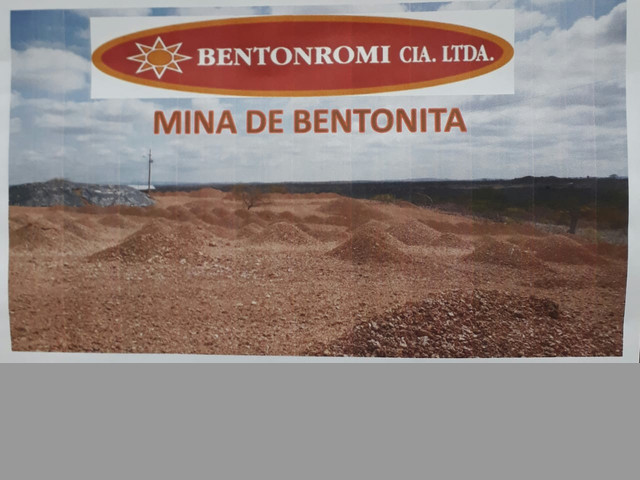 Arena para cama de gato aditivada