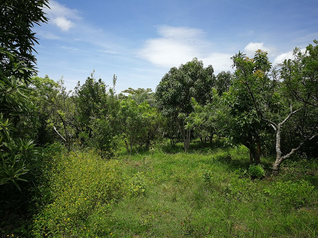 venta de finca en masaya