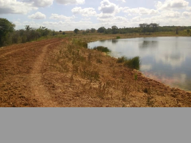 SE VENDE FINCA EN ALTAGRACIA ORITUCO