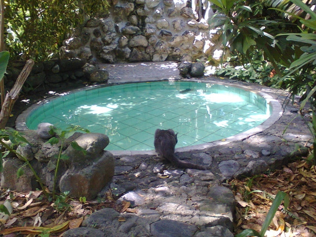 CASAS CAMPESTRES DE ARRIENDO