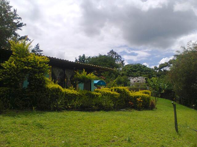 CASAS CAMPESTRES EN ARRIENDO (casa en los árboles)