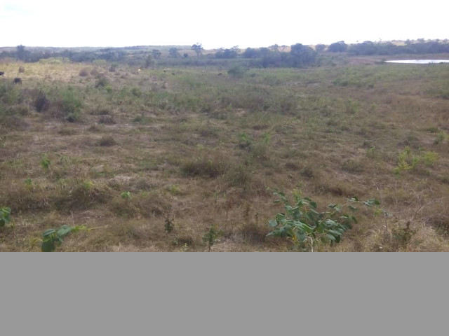 SE VENDE FINCA EN ALTAGRACIA ORITUCO