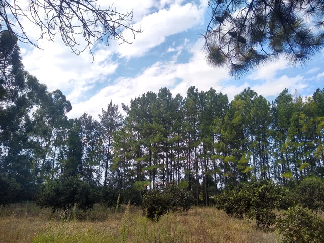 Terreno En Nogoyá . 3500 m²