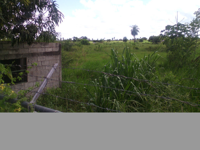 SE VENDE FINCA GUANARE Y BARINAS
