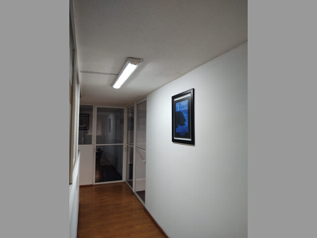 OFICINAS VIRTUALES -POLANCO SECCION UNO