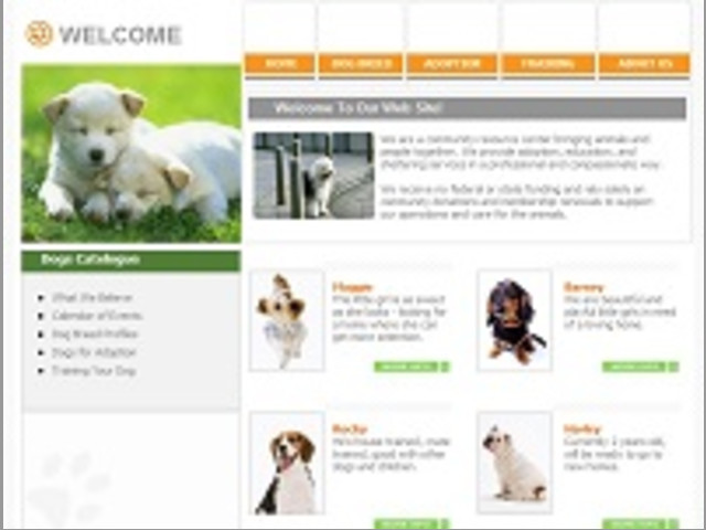 Creacion y Diseño de Paginas Web a Precios de Ganga