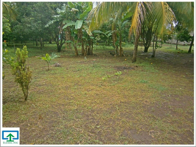 VENTA DE MEDIA MANZANA EN MASAYA , NICARAGUA