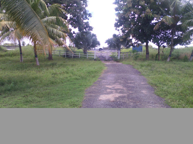 SE VENDE FINCA GUANARE Y BARINAS