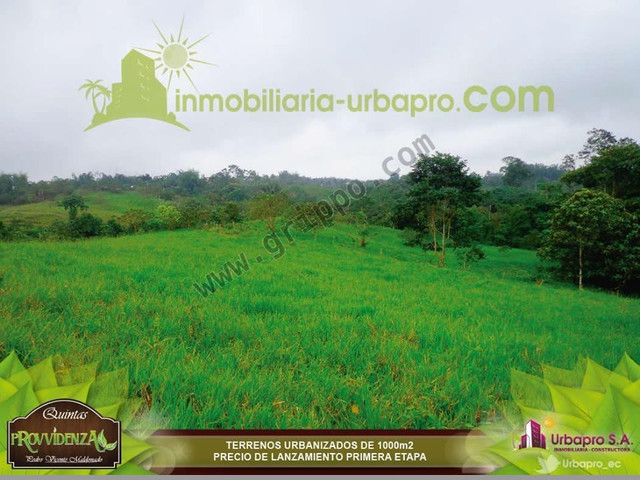 LOTE ECONOMICO EN AMBIENTE NATURAL