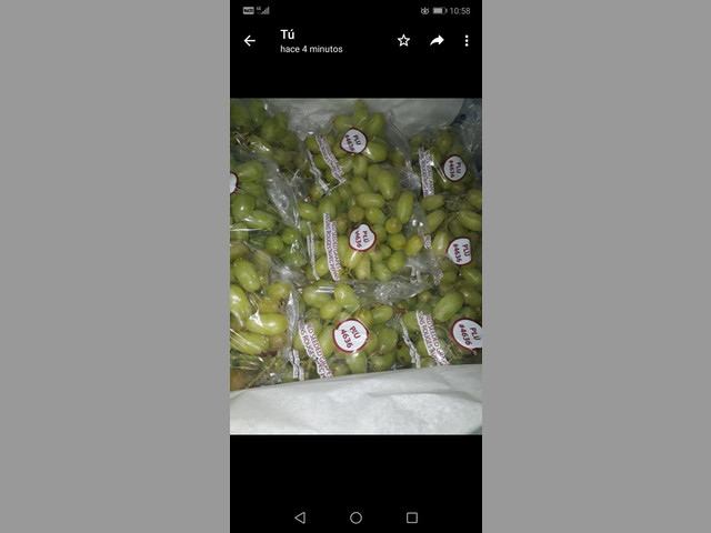 UVAS PARA EXPORTAR