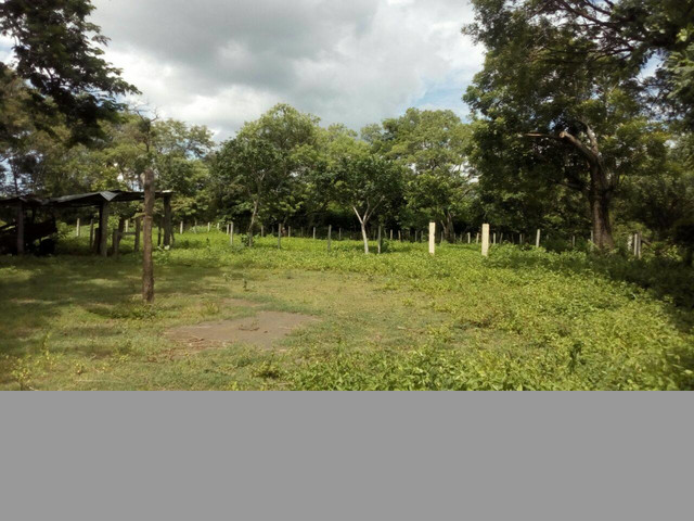 Venta de Propiedades en Nicaragua