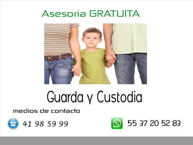 Guarda y Custodia DF y Estado de México
