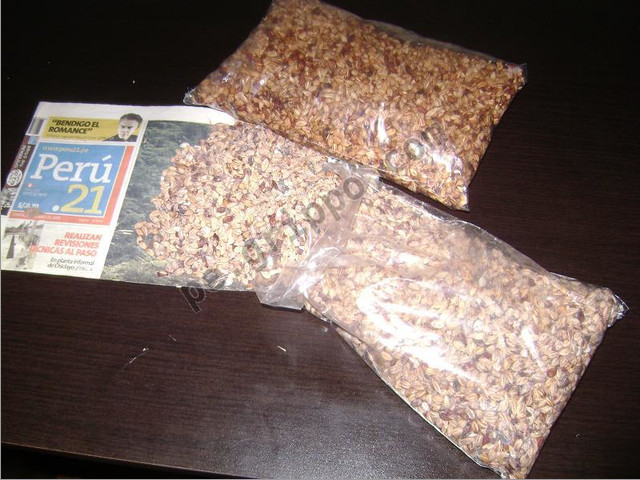venta de semilla de coca peruana