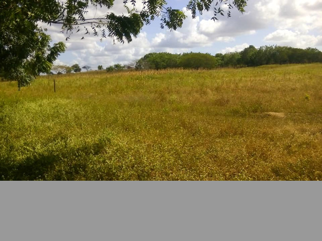 SE VENDE FINCA EN ALTAGRACIA ORITUCO