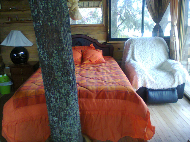 CASAS CAMPESTRES EN ARRIENDO (casa en los árboles)