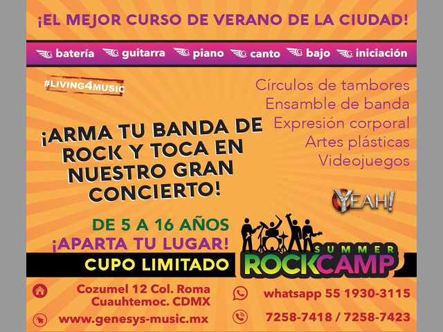 Curso de verano en la Roma, Condesa, Polanco