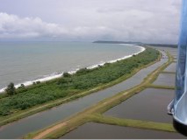 SE VENDE EMPRESA DE CAMARONES