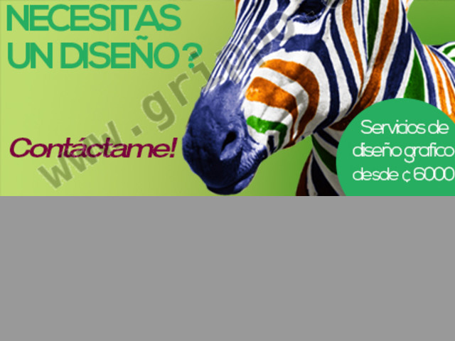 Diseñador grafico y desarrollador web