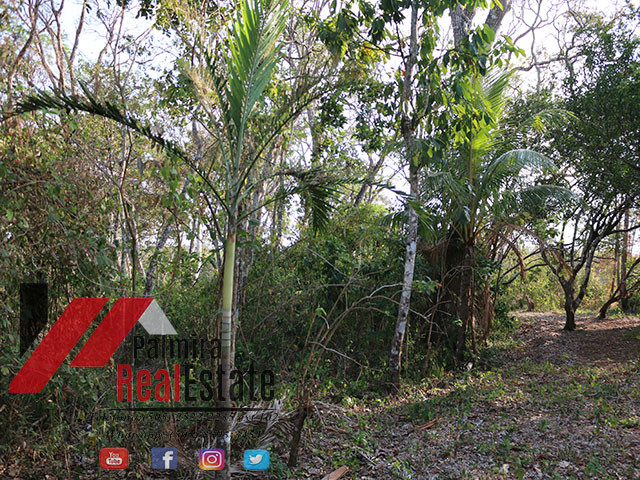 venta de finca en niquinohomo-masaya