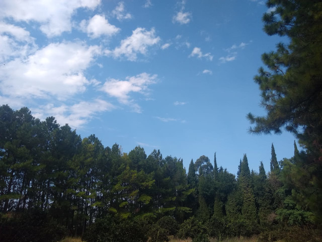 Terreno En Nogoyá . 3500 m²